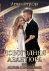 скачать книгу Новогодняя авантюра, или Любовь с проблемами