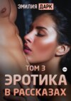 скачать книгу Эротика в рассказах. Том 3