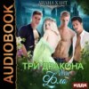 скачать книгу Три дракона для Фло