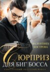 скачать книгу Сюрприз для Биг босса