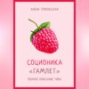 скачать книгу Соционика: «Гамлет». Полное описание типа