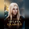 скачать книгу Тысяча камней