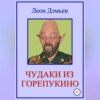 скачать книгу Чудаки из Горепукино