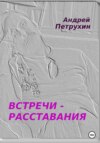 скачать книгу Встречи – расставания