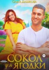 скачать книгу Сокол для Ягодки