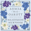 скачать книгу Маленькие мужчины