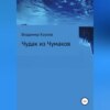 скачать книгу Чудак из Чумаков