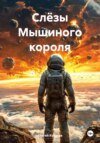 скачать книгу Слёзы мышиного короля