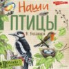 скачать книгу Наши птицы