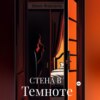 скачать книгу Стена в темноте