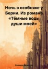 скачать книгу Ночь в особняке у Берии. Из романа «Тёмные воды души моей»