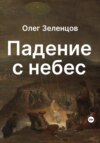 скачать книгу Падение с небес