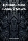 скачать книгу Приключение Беллы и Макса