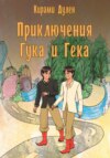 скачать книгу Приключения Гука и Гека