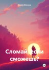 скачать книгу Сломай, если сможешь?