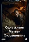 скачать книгу Одна жизнь Матвея Филлиповича