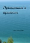 скачать книгу Записки одного журналиста. 2030-ые. Очерк I