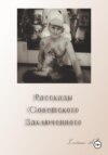 скачать книгу Рассказы советского заключенного