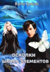 скачать книгу Осколки. Школа элементов