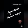 скачать книгу Пропавший в чёрном городе