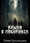 скачать книгу Крыса в лабиринте