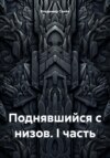 скачать книгу Поднявшийся с низов. I часть