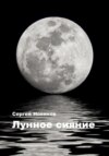 скачать книгу Лунное сияние