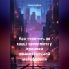 скачать книгу Как ухватить за хвост свою мечту. Хроники занимательной метафизики