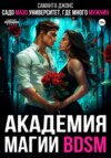 скачать книгу Академия магии BDSM. Садомазо-университет, где много мужчин