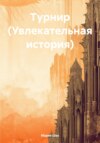 скачать книгу Турнир (Увлекательная история)