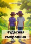 скачать книгу Чудесная смородина