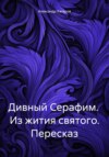 скачать книгу Дивный Серафим. Из жития святого. Пересказ