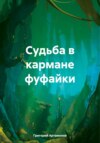 скачать книгу Судьба в кармане фуфайки