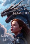 скачать книгу Академия меча и пламени