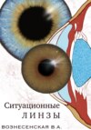 скачать книгу Ситуационные линзы