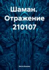 скачать книгу Шаман. Отражение 210107