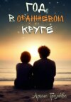 скачать книгу Год в оранжевом круге