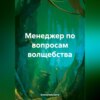 скачать книгу Менеджер по вопросам волщебства