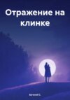 скачать книгу Отражение на клинке