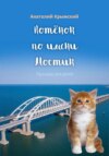 скачать книгу Котенок по имени Мостик