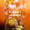 скачать книгу Встреча с любимой