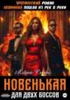 скачать книгу Эротический роман. Невинная пошла из рук в руки. Новенькая для двух Боссов