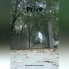 скачать книгу Prive