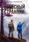 скачать книгу Небесный странник