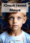 скачать книгу Юный гений Миша