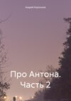 скачать книгу Про Антона. Часть 2