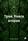 скачать книгу Троя Книга вторая