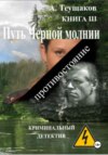 скачать книгу Путь Черной молнии 3