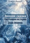 скачать книгу Зимняя сказка. Настоящая история Деда Мороза