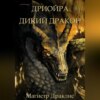 скачать книгу Дриойра. Дикий дракон